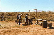 okcoralT.gif (18638 bytes)